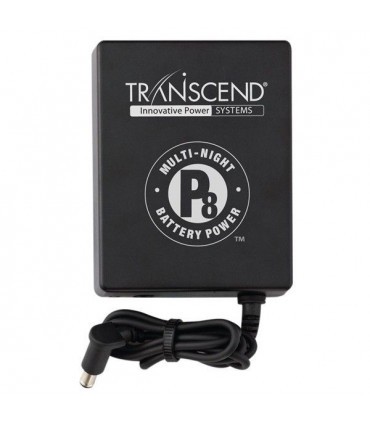 Batteria Transcend P8