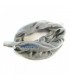 Isolante morbido per circuito - Philips Respironics