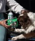 Kit di ossigeno per cani - Pawprint - Aeronics