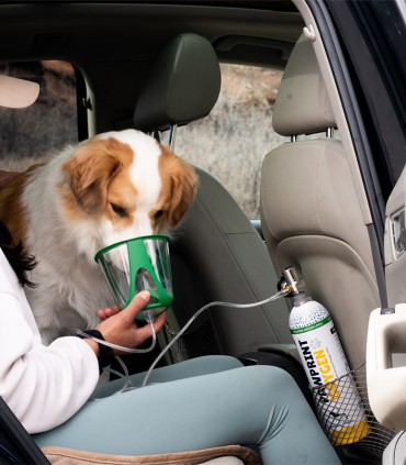 Kit di ossigeno per cani - Pawprint - Aeronics