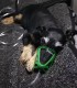 Kit di ossigeno per cani - Pawprint - Aeronics