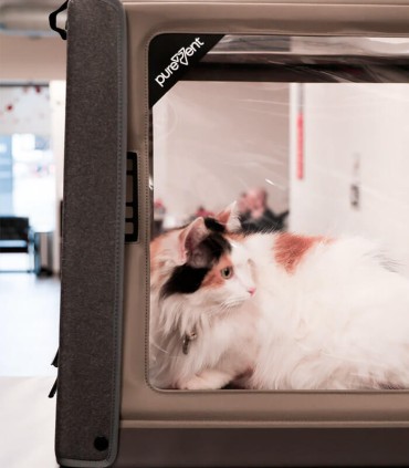 Camera per Ossigenoterapia Veterinaria PureVent – Pawprint