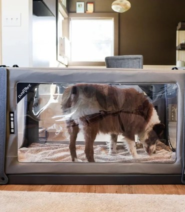 Camera per Ossigenoterapia Veterinaria PureVent L 14-30 kg – Pawprint